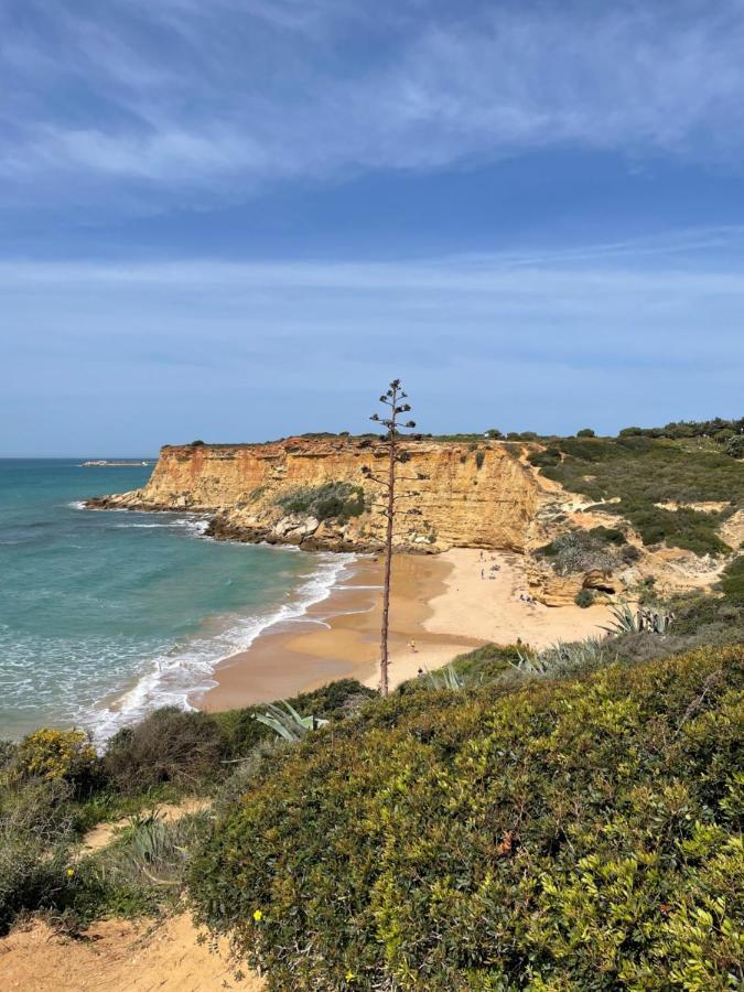 Villa Mar Fuente Del Sol Conil De La Frontera Exteriör bild